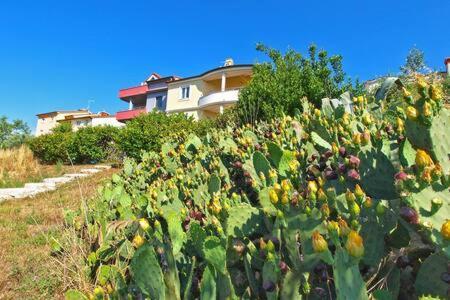 Villa Lucija Пула Екстериор снимка